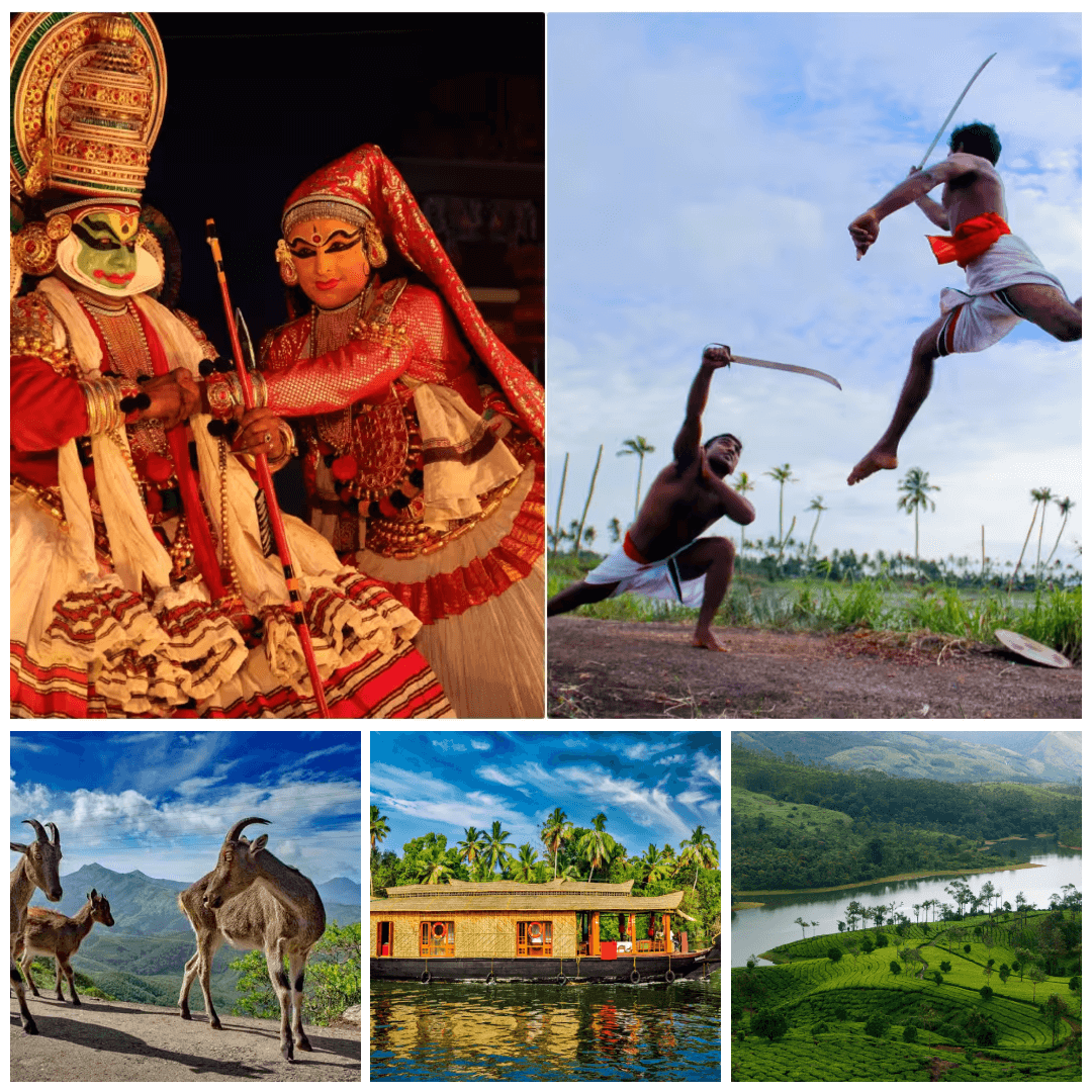 Kerala Delight Tour - Cochin, Munnar, Alleppey